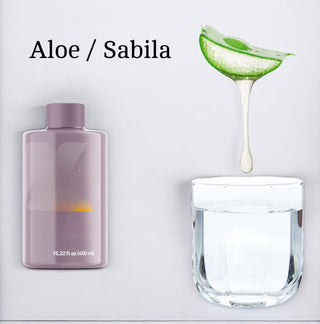 Sabila sabor mango